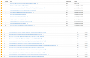 wdf-idf-keyword-analyse-xovi-hundebett-urls-amazon